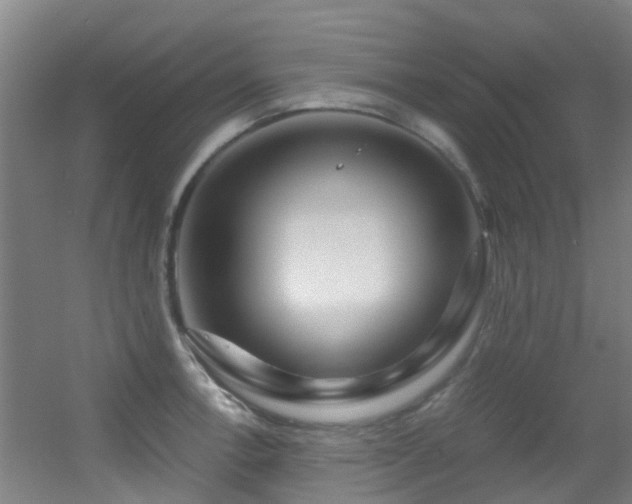 X0000056001138200508221316