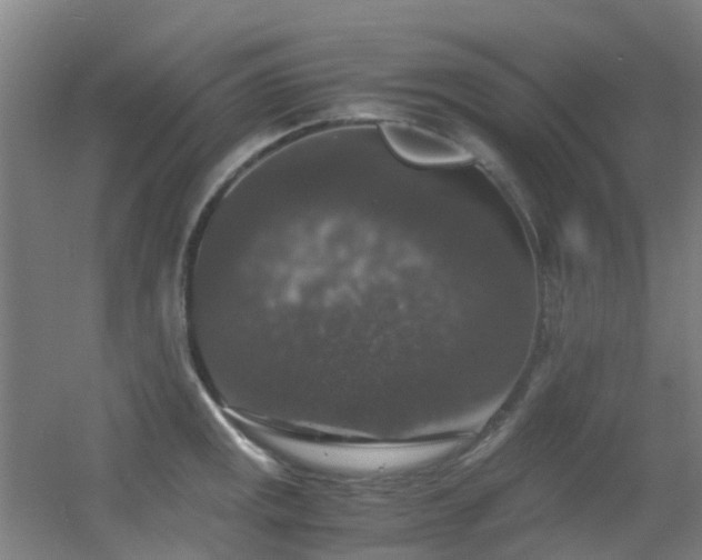 X0000056001141200508221316