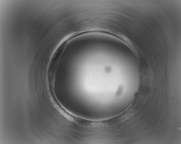 X0000056001142200508221316