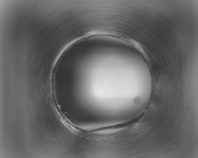 X0000056001148200508221316