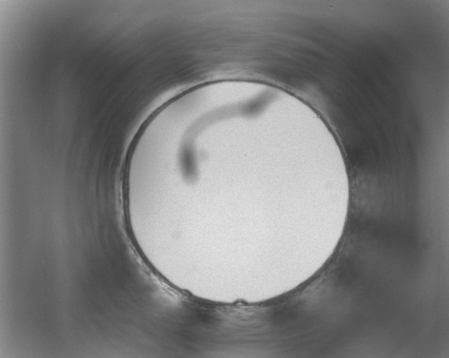 X0000056001150200508221316