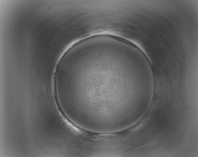 X0000056001151200508221316