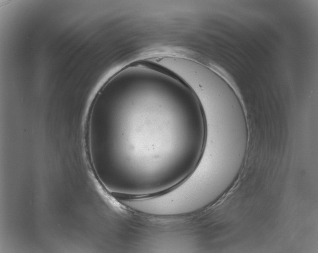 X0000056001152200508221316