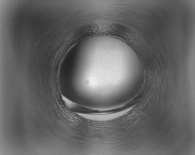 X0000056001153200508221315