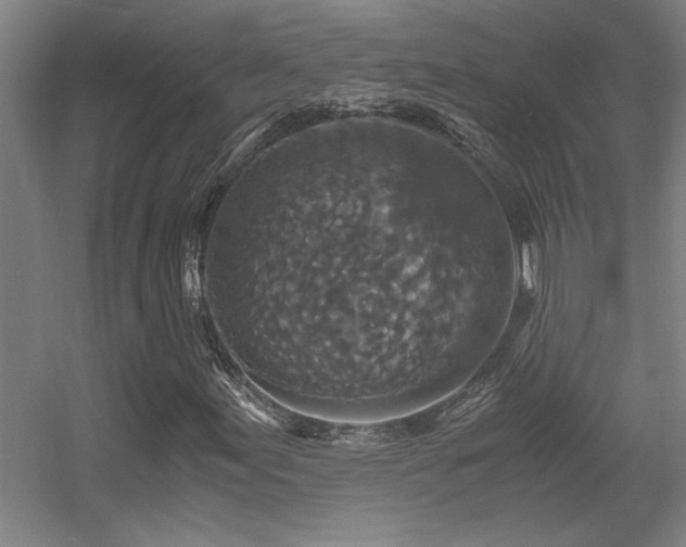 X0000056001155200508221315