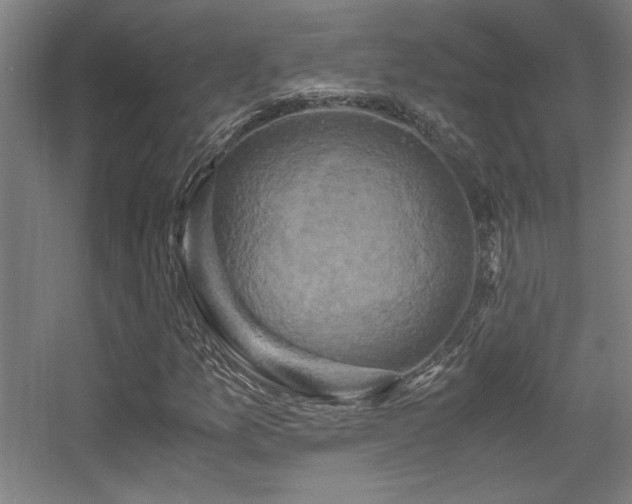 X0000056001157200508221315