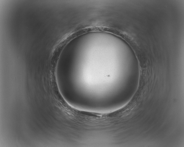 X0000056001159200508221315