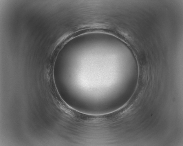 X0000056001163200508221315