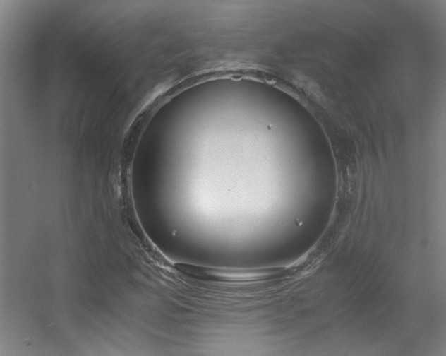 X0000056001165200508221315