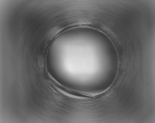 X0000056001169200508221315