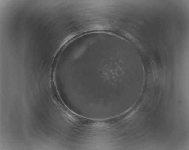 X0000056001170200508221315