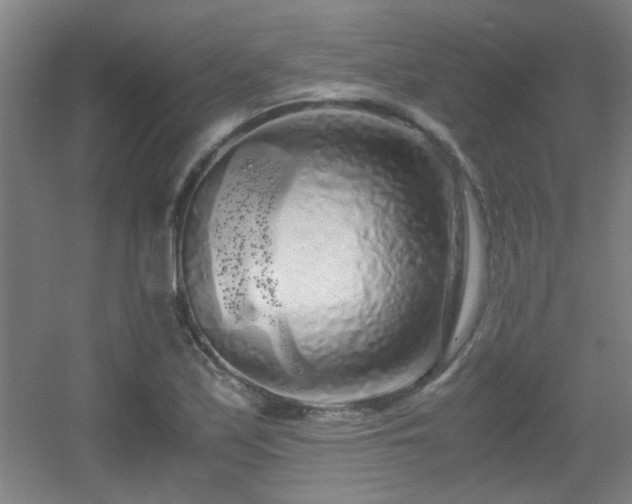 X0000056001171200508221315