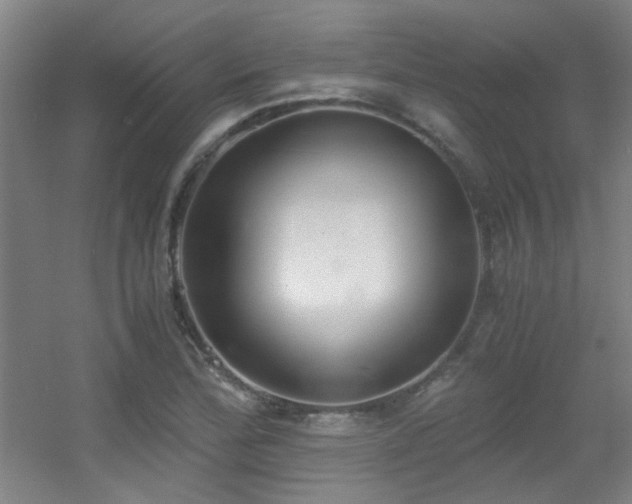 X0000056001172200508221315