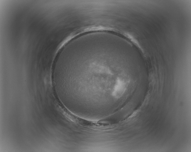 X0000056001173200508221315