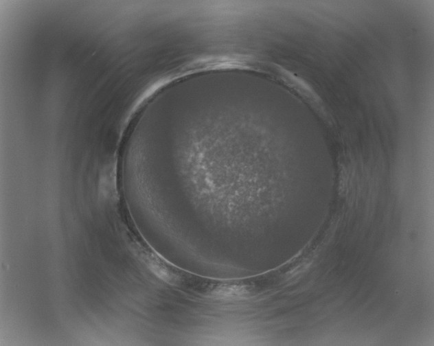 X0000056001174200508221315