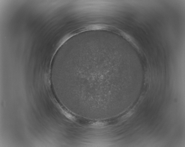 X0000056001178200508221315