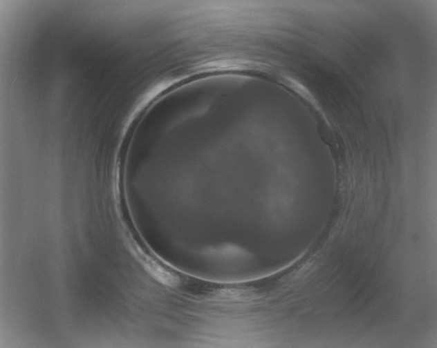 X0000056001179200508221315