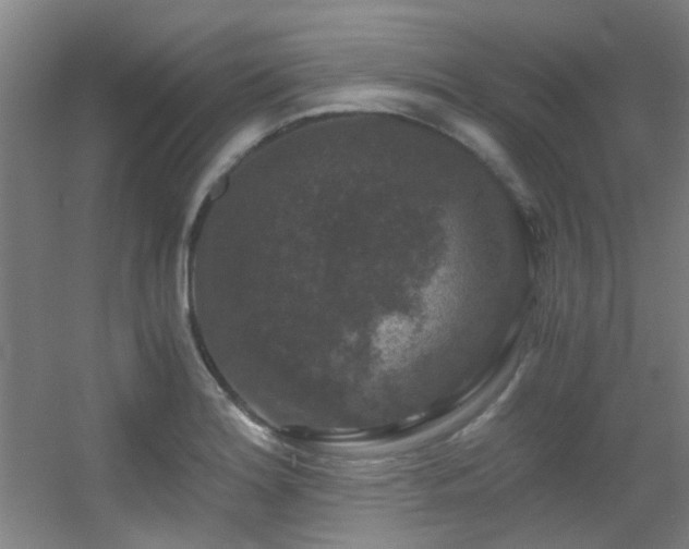 X0000056001180200508221315