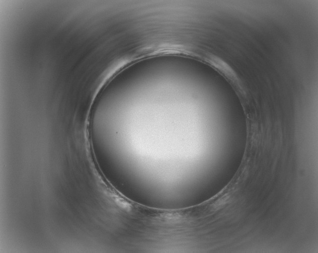 X0000056001190200508221315