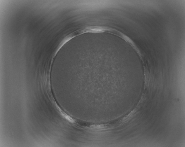 X0000056001194200508221315