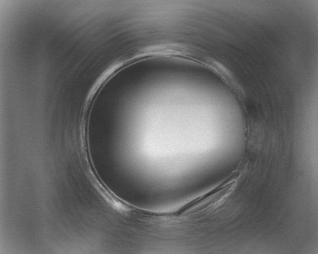 X0000056001196200508221315