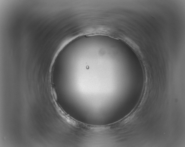 X0000056001200200508221314