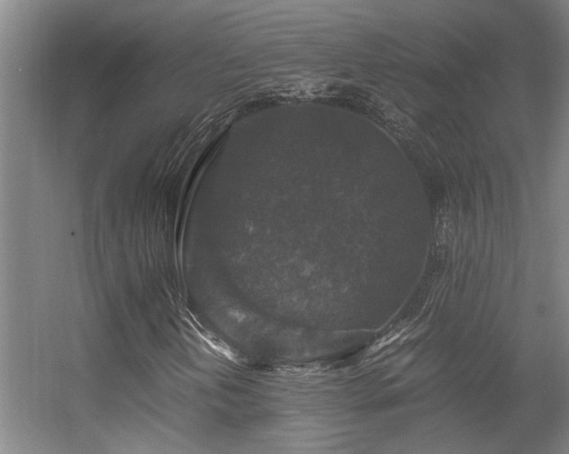 X0000056001202200508221314