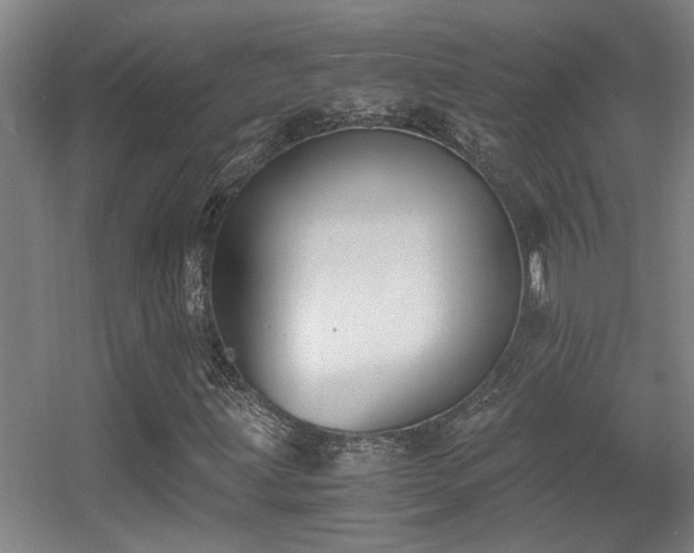 X0000056001203200508221314