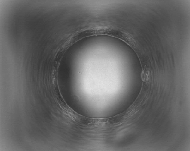 X0000056001204200508221314