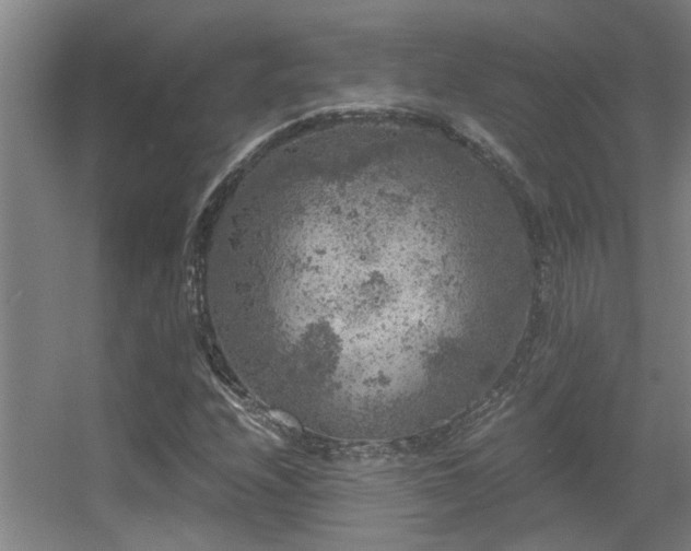 X0000056001208200508221314