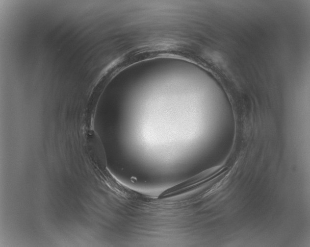 X0000056001210200508221314