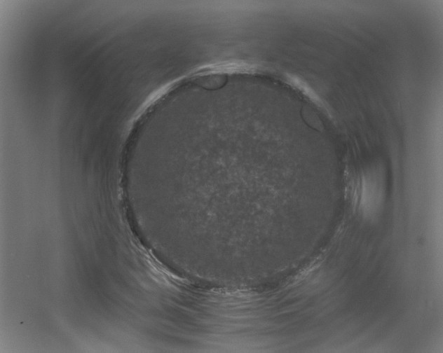 X0000056001213200508221314