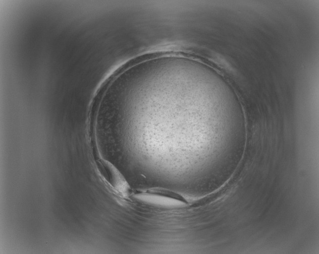 X0000056001216200508221314