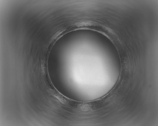 X0000056001217200508221314