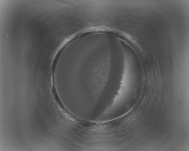 X0000056001221200508221314