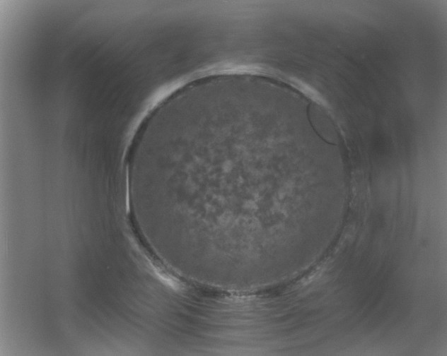 X0000056001223200508221314