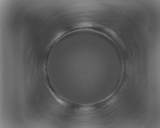 X0000056001225200508221314