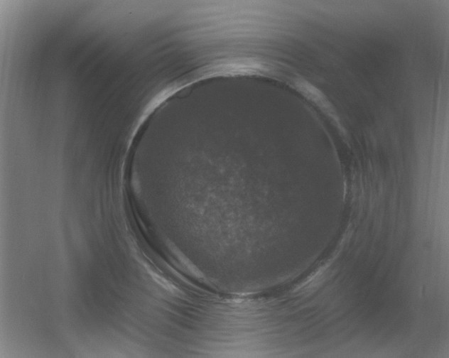 X0000056001226200508221314