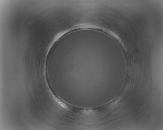 X0000056001231200508221314