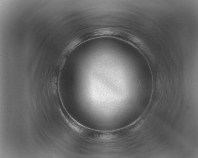 X0000056001233200508221314