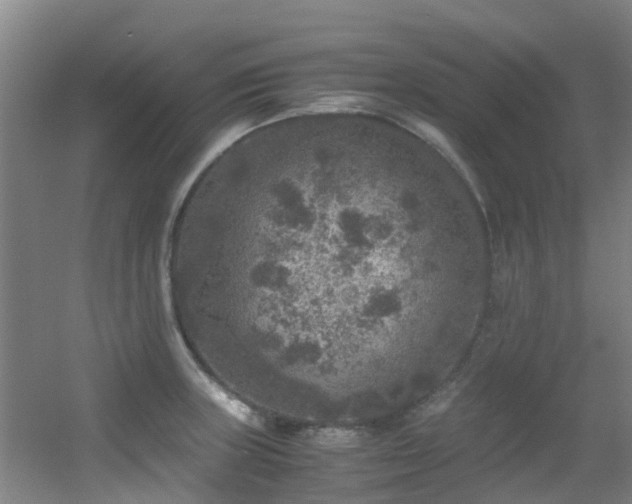 X0000056001235200508221314