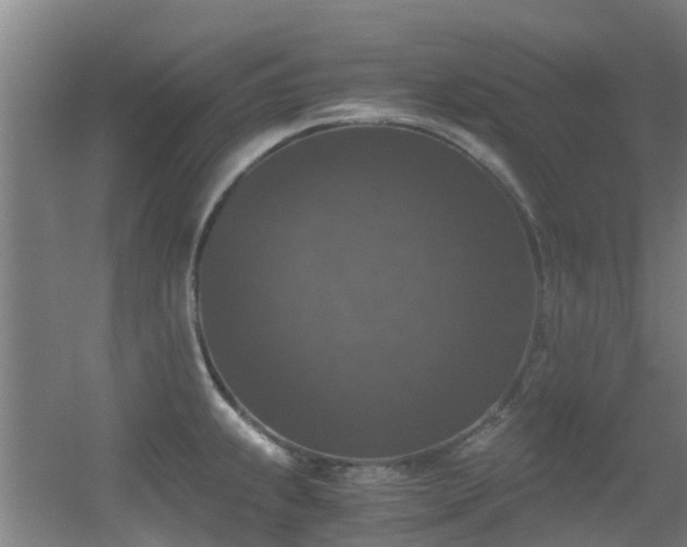 X0000056001239200508221314