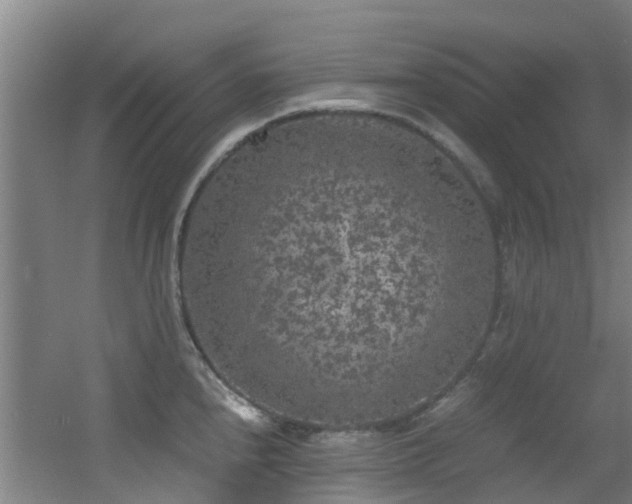 X0000056001240200508221314