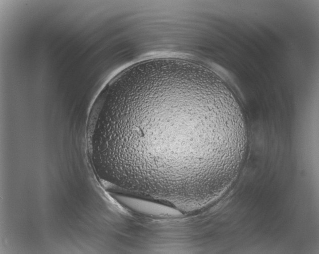 X0000056001244200508221314