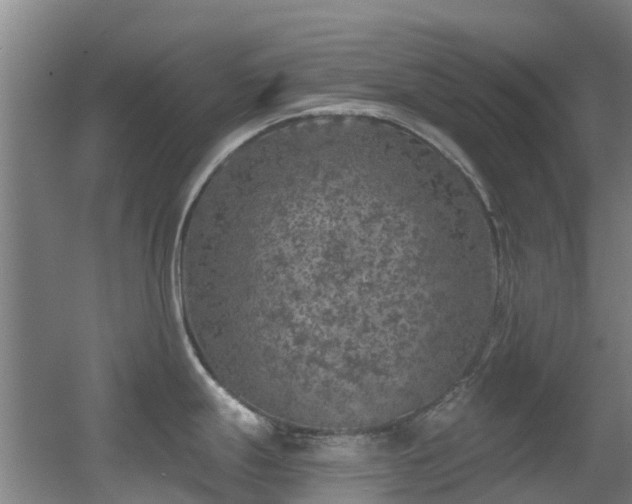 X0000056001247200508221314