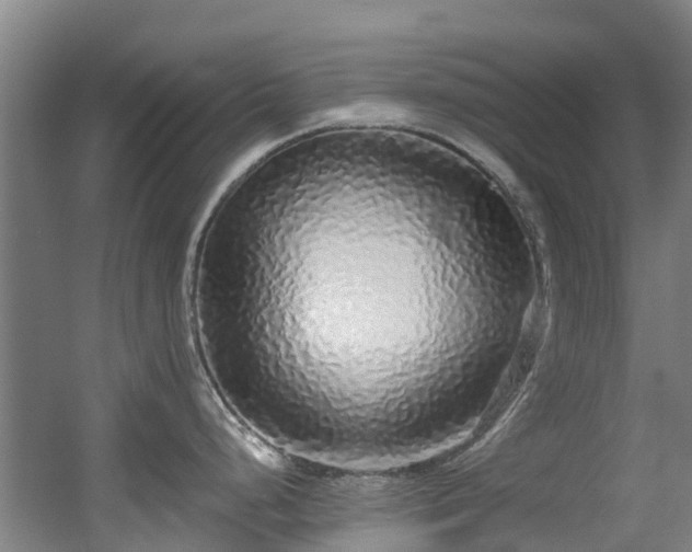 X0000056001248200508221314