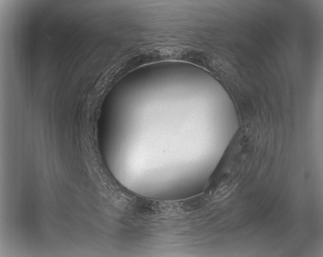 X0000056001249200508221314