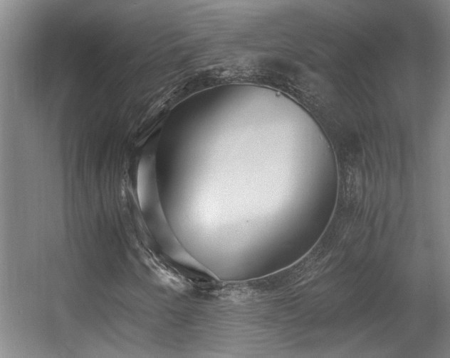 X0000056001250200508221314