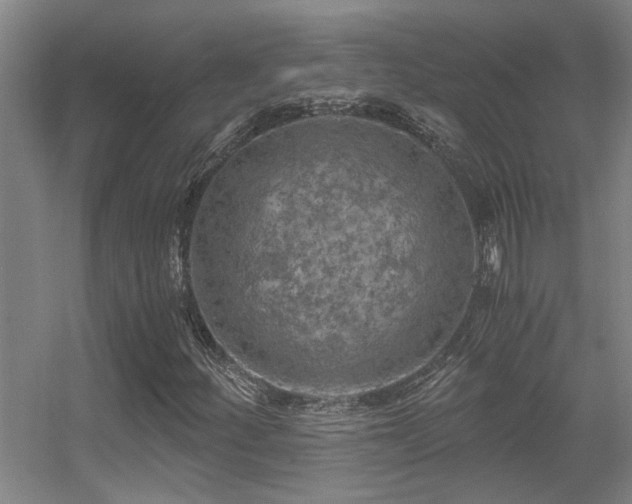 X0000056001252200508221314