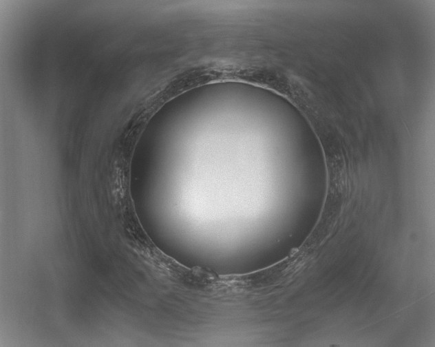 X0000056001253200508221314